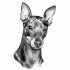 Lovely grey-ink doberman portrait tattoo design