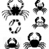 Lovely small black crabs in different poses tattoo design
