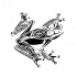 Lovely tribal frog looking on you tattoo design