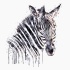 Lovely watercolor style zebra head tattoo design