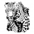 Luxury black-and-white leopard tattoo design