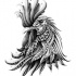 Luxury grey-ink rooster portrait tattoo design