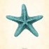 Luxury turquoise starfish tattoo design