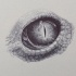 Mad grey-ink reptile eye tattoo design