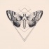 Marvelous grey butterfly and geometric drawing tattoo design
