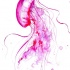 Montly pink watercolor jellyfish tattoo design