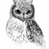 Mystic black-eyed owl portrait tattoo design