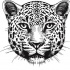 Nice blaack-and-white leopard muzzle tattoo design