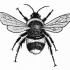 Nice black-and-white bee with dotted wings tattoo design