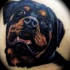 eccezionale inchiostro colorato cane cucciolo rottweiler tatuaggio