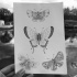 Nice dotwork butterflies tattoo design