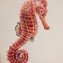 Nice ginger seahorse tattoo design