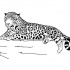 Nice outline jaguar lying on flash rock tattoo design