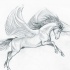 Nice pegasus pencilwork com um design tatuagem de chifre