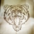 Nice traditional uncolored grizzly head tattoo design