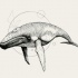 Old heavy grey-ink whale on geometric drawing background tattoo design