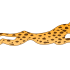 Orange running cheetah logo with brown spots tattoo design