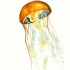Orange watercolor jellyfish with almost transparent tentacles tattoo design