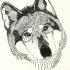 Original-design wolf head with inverted cross on forehead tattoo design