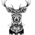 Original black-and-white deer portrait looking on you tattoo design
