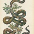 Ornate snake with floral entrails tattoo design