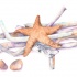Pale orange starfish lying on purple weeds tattoo design