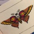 Pink-and-yellow winged dead head moth tattoo design