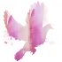 Pink watercolor dove tattoo design