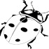 Plain black-and-white ladybug crawling up tattoo design