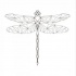 Plain geometric dragonfly tattoo design