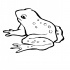 Plain uncolored frog tattoo design