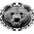 Pleased grey-ink grizzly portrait in geometric frame tattoo design
