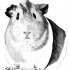 Plump black-and-white rodent tattoo design