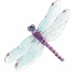 Purple-body dragonfly with light blue wings tattoo design