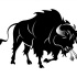 Rageful black fluffy bull with hot smoke from nostrils tattoo design