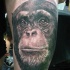 realistico bianco e nero testa scimpanze` tatuaggio su coscia