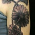 realistico nero e bianco fiori camomilla tatuaggio a mezza manica