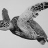 Realistic black-and-white turtle swimming in ocean tattoo design