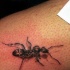 Tatuaje  de hormiga realista detallada en la pierna