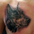 realistici inchiostro nero Doberman tatuaggio su petto