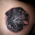 Tatuaje  de cabeza de rottweiler negro y nombre