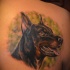 Tatuaje  de dóberman bueno en el fondo verde