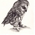Realistic full-size black-and-white owl tattoo design