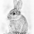Realistic grey-ink hare sitting on grass tattoo design