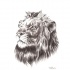Realistic grey-pencil lion head tattoo design