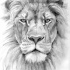 Realistic grey-pencil lion portrait tattoo design