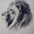 Realistic grey-pencil lion tattoo design by Paper Panda