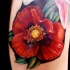realistico fiore papavero con goccia di ruggiada tatuaggio su spalla