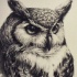 Realistic severe black-and-white owl tattoo design
