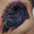 realistico severo inchiostro nero testa dorilla tatuaggio su pancia